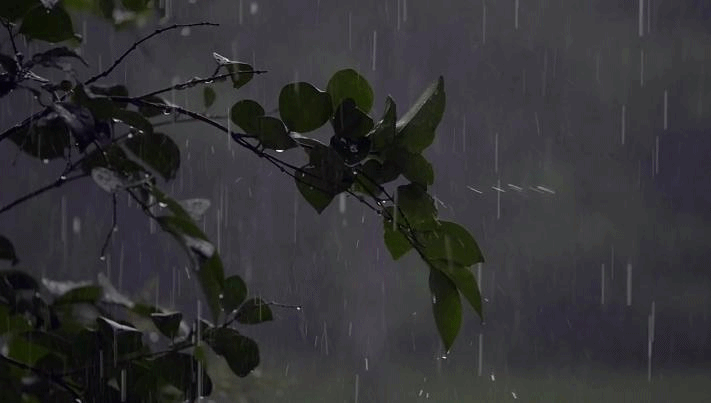 GIFs Lluvia - 50 fotos animadas de Llorando cielos