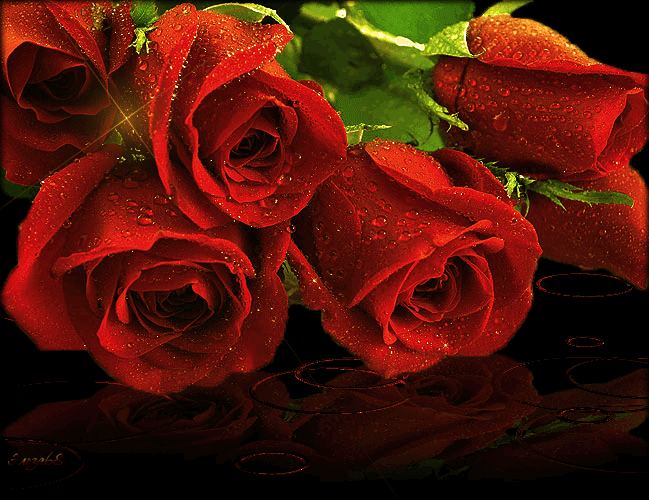 Гифки Розы, букеты роз разных цветов