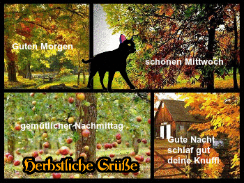 schonen mittwoch-gif-17