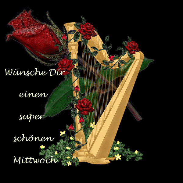 schonen mittwoch-gif-2