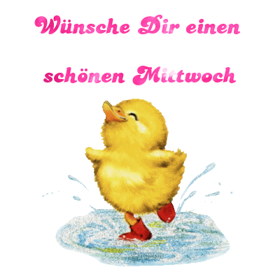 schonen mittwoch-gif-25