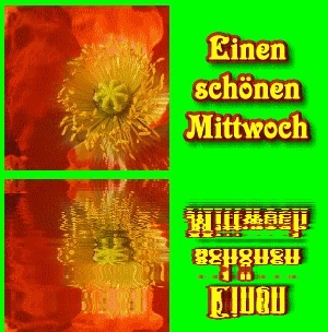 schonen mittwoch-gif-55