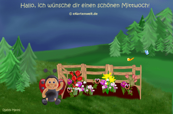schonen mittwoch-gif-60