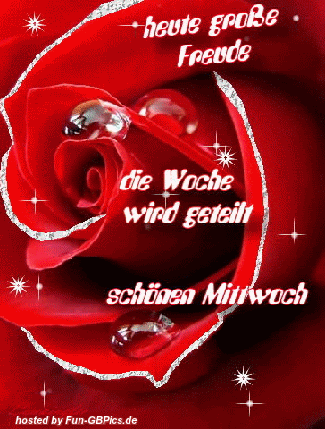 schonen mittwoch-gif-84