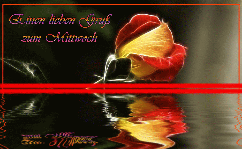 schonen mittwoch-gif-88
