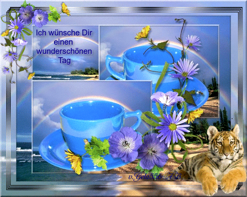schonen mittwoch-gif-96