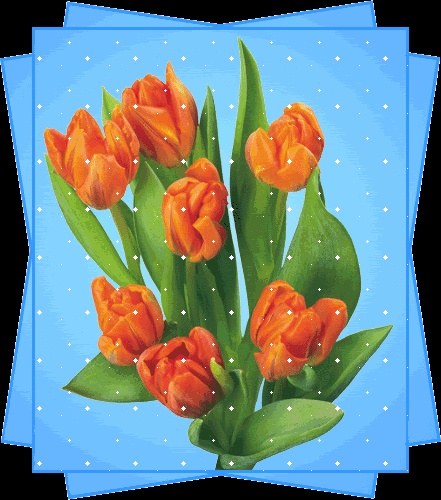 チューリップGIF、美しい春の花の100のアニメーション画像