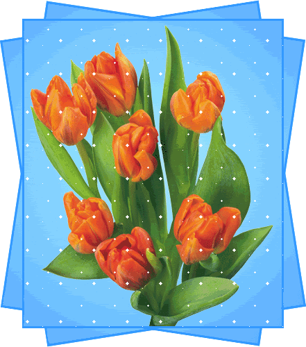 tulip-33