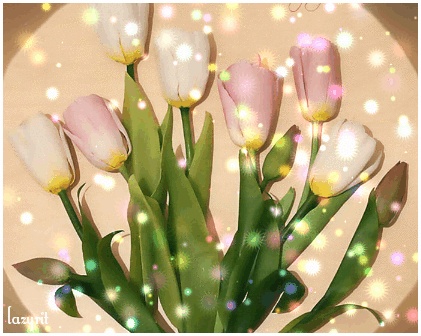 GIFs Tulipes - Belles fleurs de printemps
