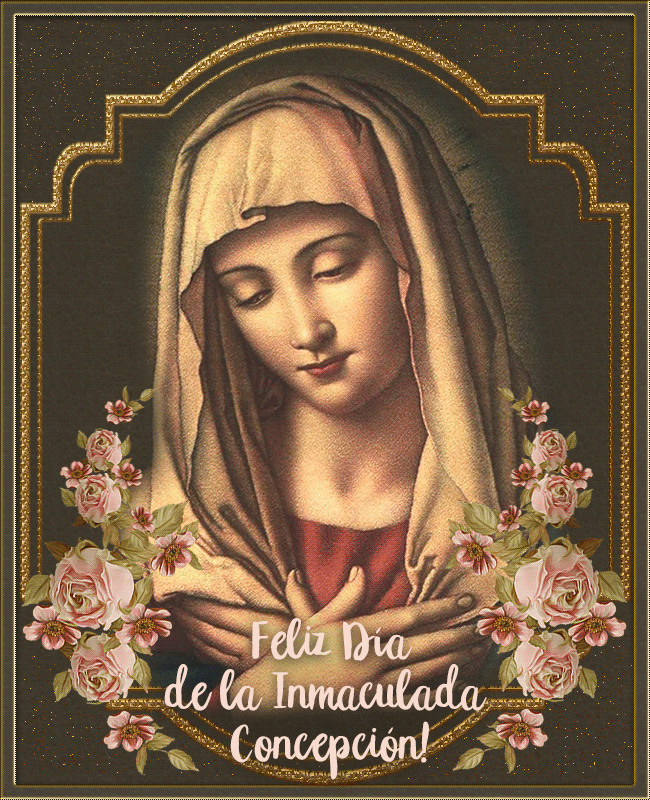 Feliz Día de la Inmaculada Concepción GIFs